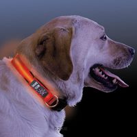 Collare luminoso Nite Ize LED Ø 25 33 cm x H 25 mm
