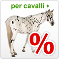 specialoffers horsei