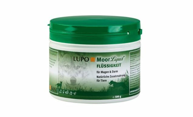 Lupo-moore-e1621412845705
