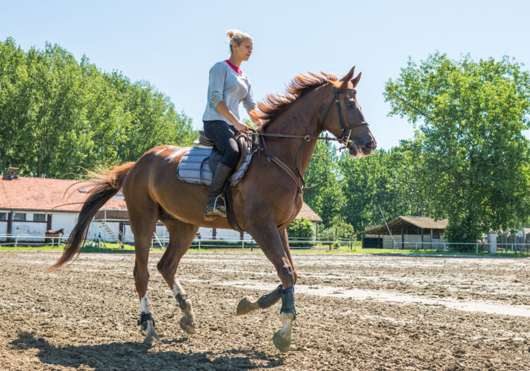 andare a cavallo da adulti