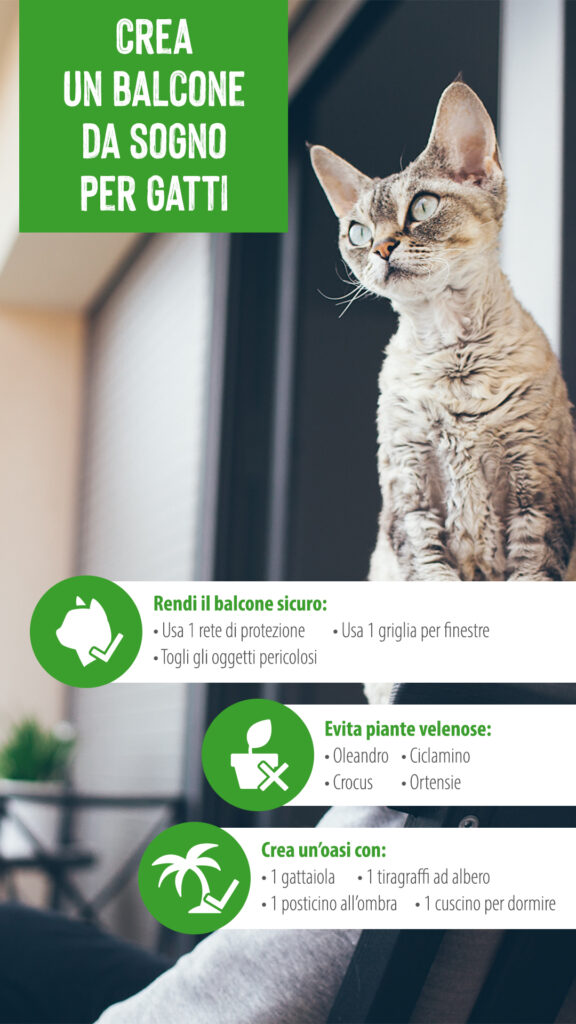 zooplus_Magazine_Outdoor_Cat_Balcony_1080x1920_IT
