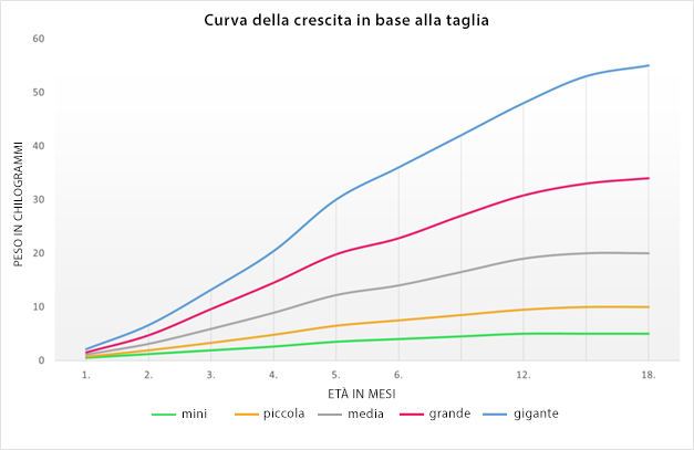 Curva della crescita dei cani Curca della crescita