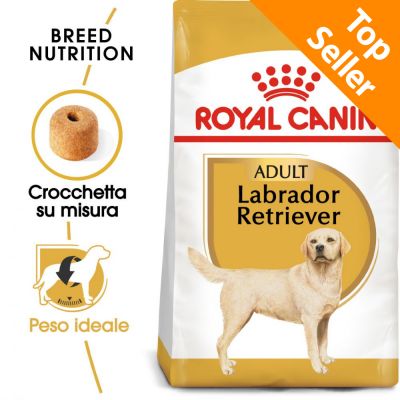 Royal Canin Labrador Retriever Adult Crocchette per cani