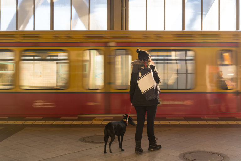 un cane e il suo proprietario aspettano il treno un cane e il suo proprietario aspettano il treno