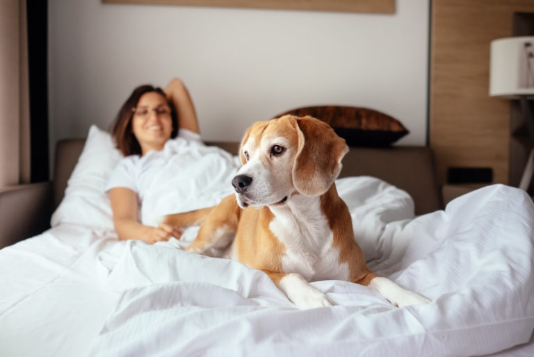 dormire col cane nel letto