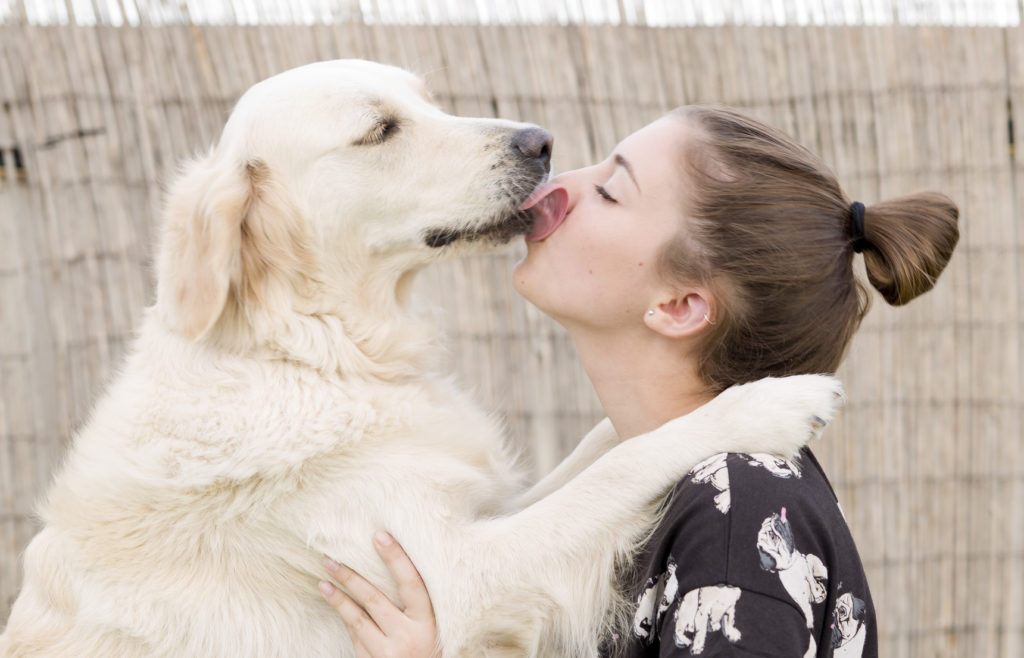 cane che fa le coccole