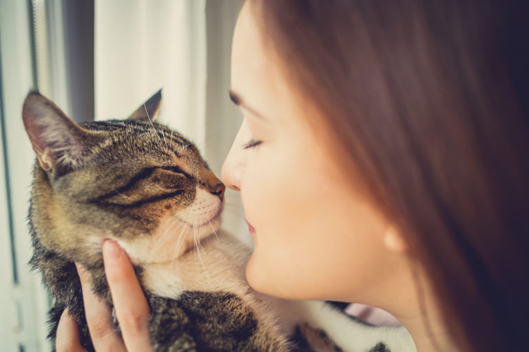 Perché avere un gatto fa bene alla salute