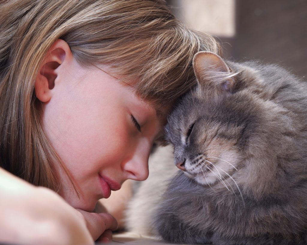 Imparare a comprendere la lingua dei gatti Imparare a comprendere la lingua dei gatti