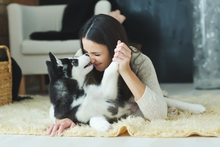 il mio cane mi vuole bene