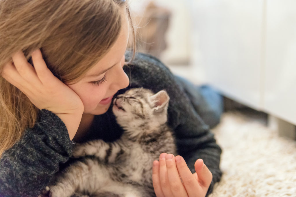 segnali che dimostrano che il gatto è felice