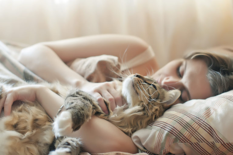 Dormire con il gatto nel letto