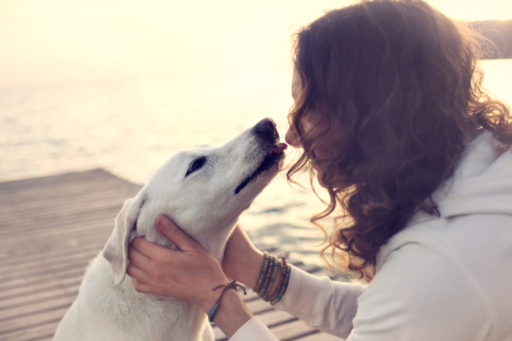 Si possono baciare i cani? Si possono baciare i cani?