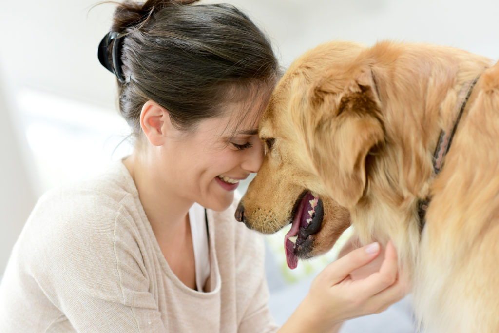 Si possono baciare i cani? Si possono baciare i cani?