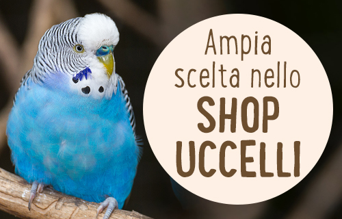 Ampia scelta nello shop uccelli!