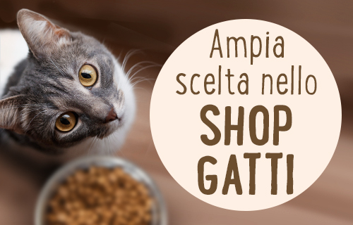 Ampia scelta nello shop gatti