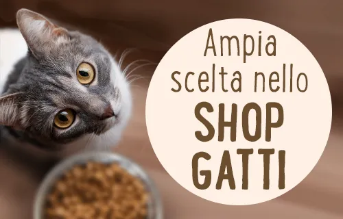 Ampia scelta nello shop gatti