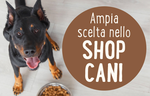 Ampia scelta nello shop cani