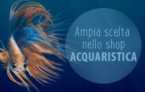 Ampia scelta nello shop acquaristica