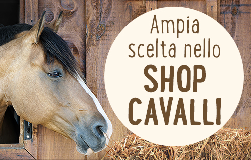 Ampia scelta nello shop cavalli!