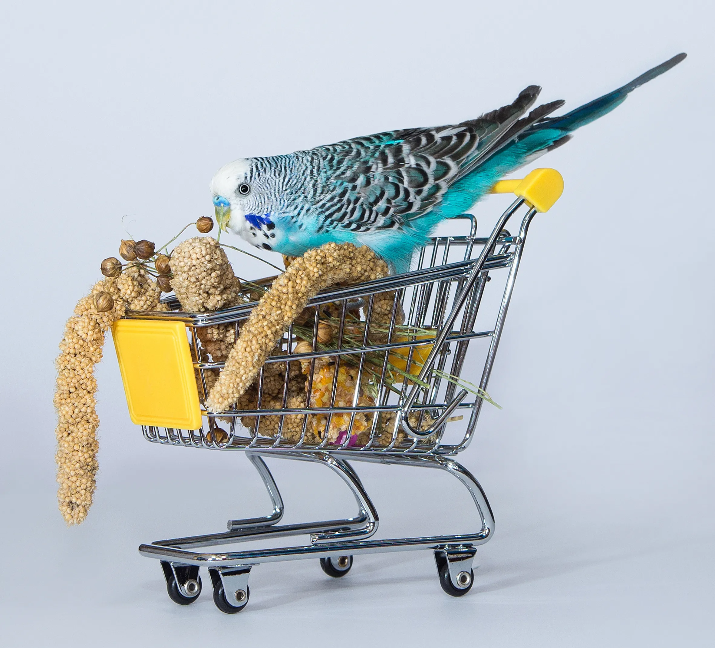 4 Ciotole A Forma Di D Per Uccelli - Mangiatoie Appendiabili In Plastica Per Gabbie - Foto 5