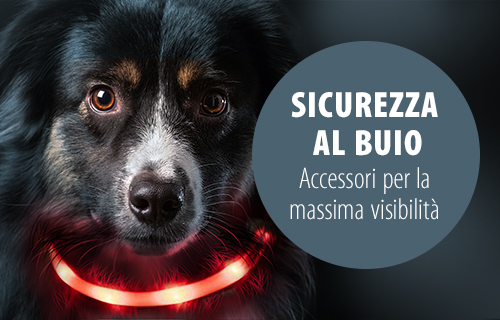 Insegnare Al Cucciolo A Stare Da Solo In Casa Zooplus Magazine