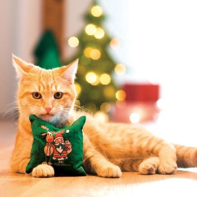 Regali Di Natale Per Gatti.Regali Di Natale Per Gatti