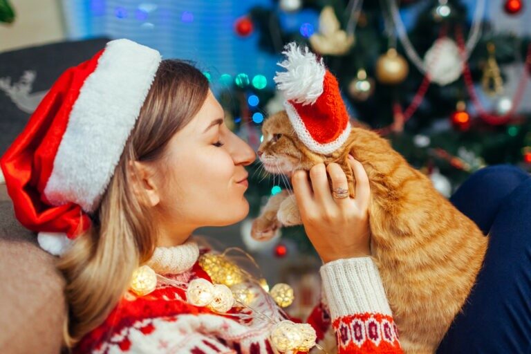 Regali Di Natale Per Babbo.Regali Di Natale Per Gatti