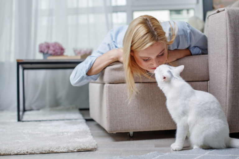 gatto in casa o libero?