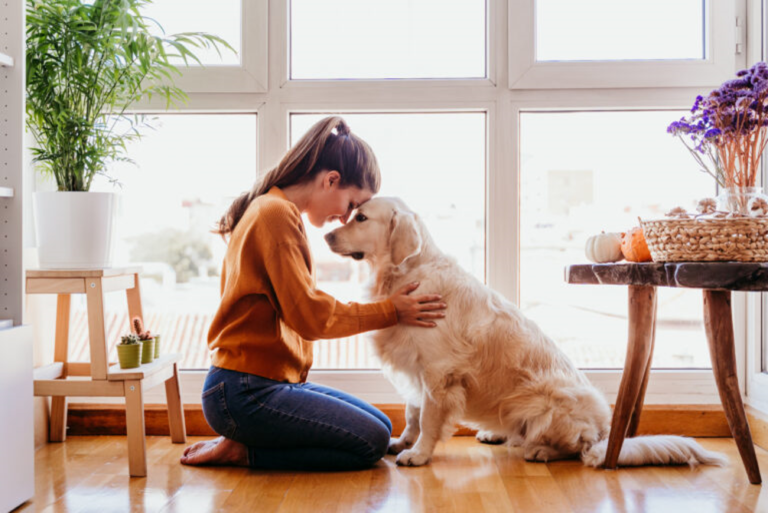 andare a spasso con il cane durante la quarantena