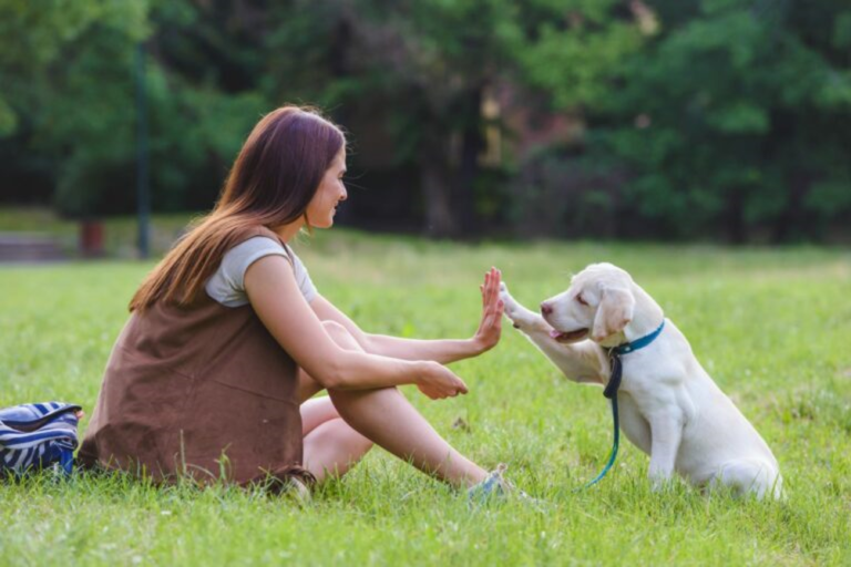 passeggiata con il cane