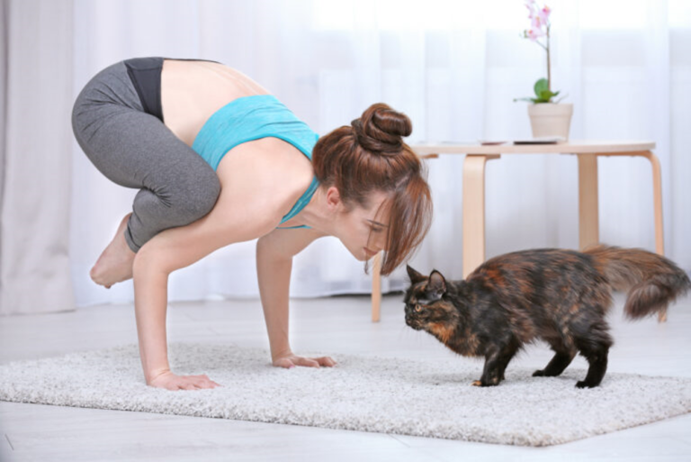 yoga con i gatti