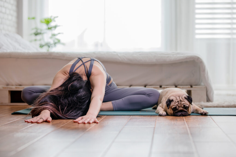 Cane Yoga Cane Yoga