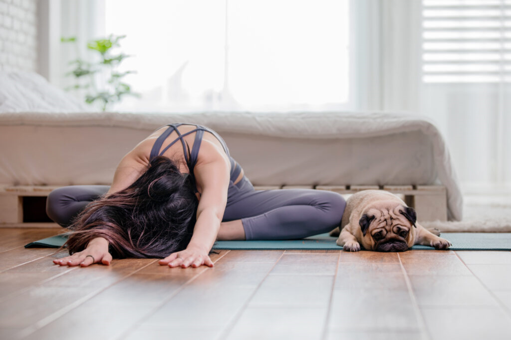 Cane Yoga