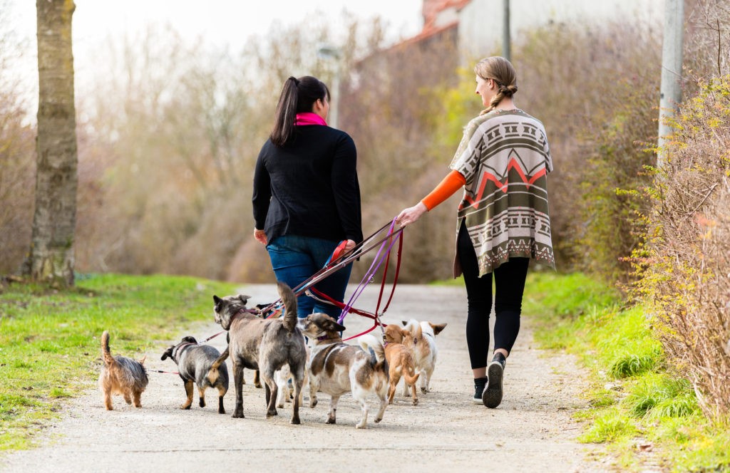 Passeggiata Passeggiata