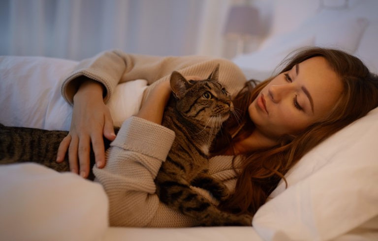 Gatto Gatto