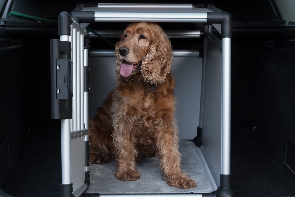 cane in trasportino in alluminio per auto