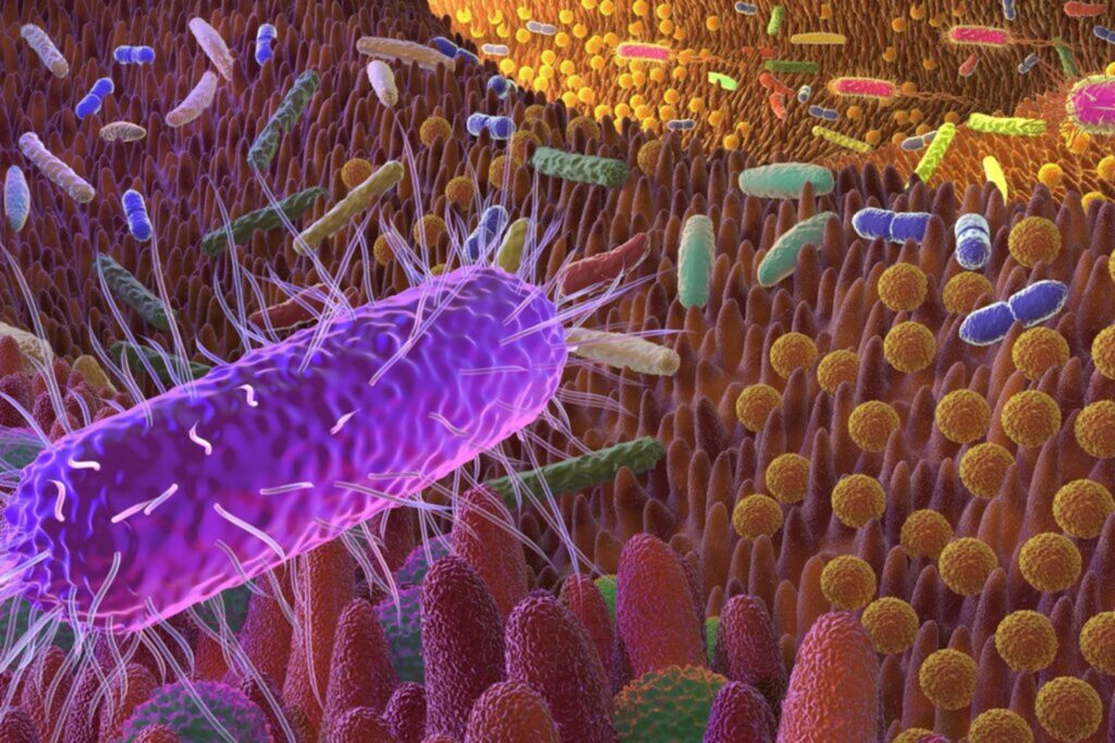 Virus Virus