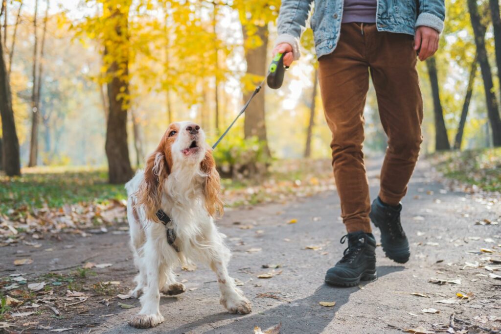 AdobeStock_296109175-1024×682