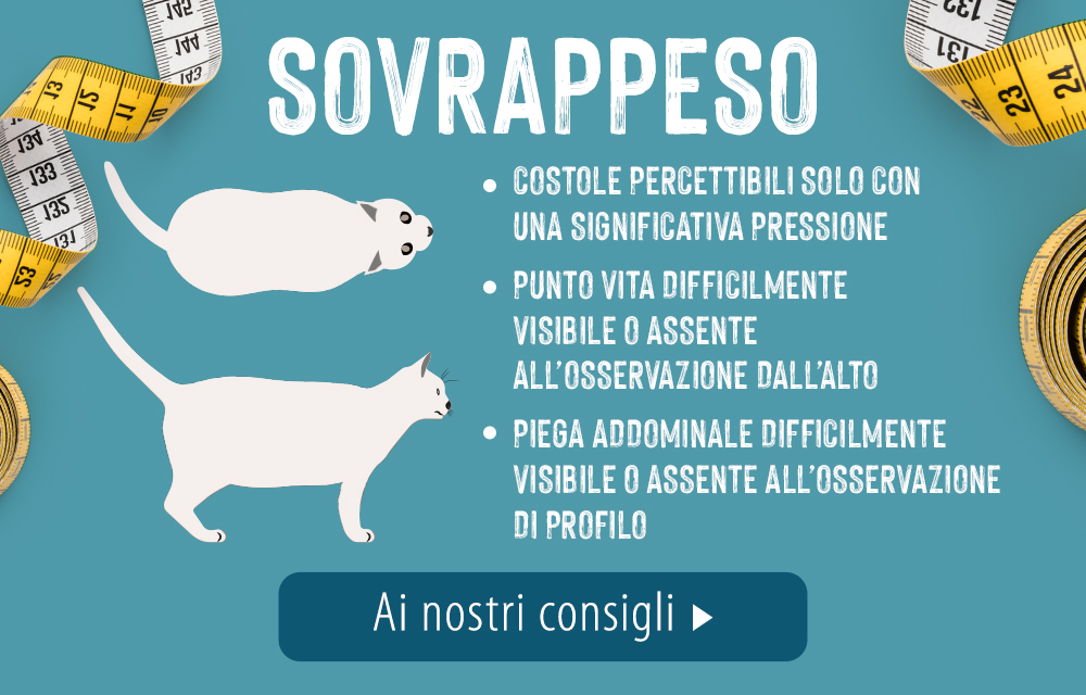 2021_02_Overweight_LP_C_Slide5_1000x640_IT sovrappeso