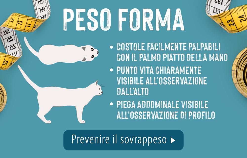 2021_02_Overweight_LP_C_Slide6_1000x640_IT peso forma