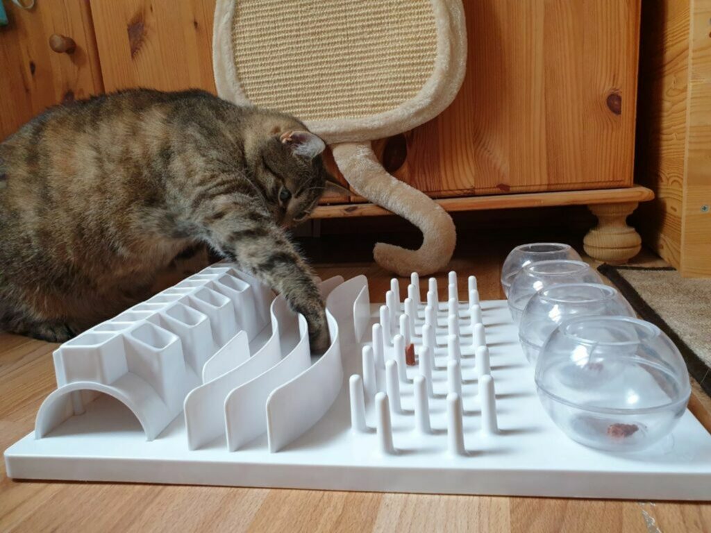 Un gattoimpegnato con un gioco di intelligenza