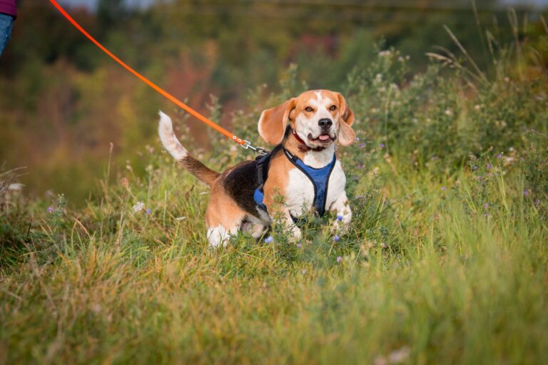 AdobeStock_173927648-768×512 AdobeStock_173927648-768×512