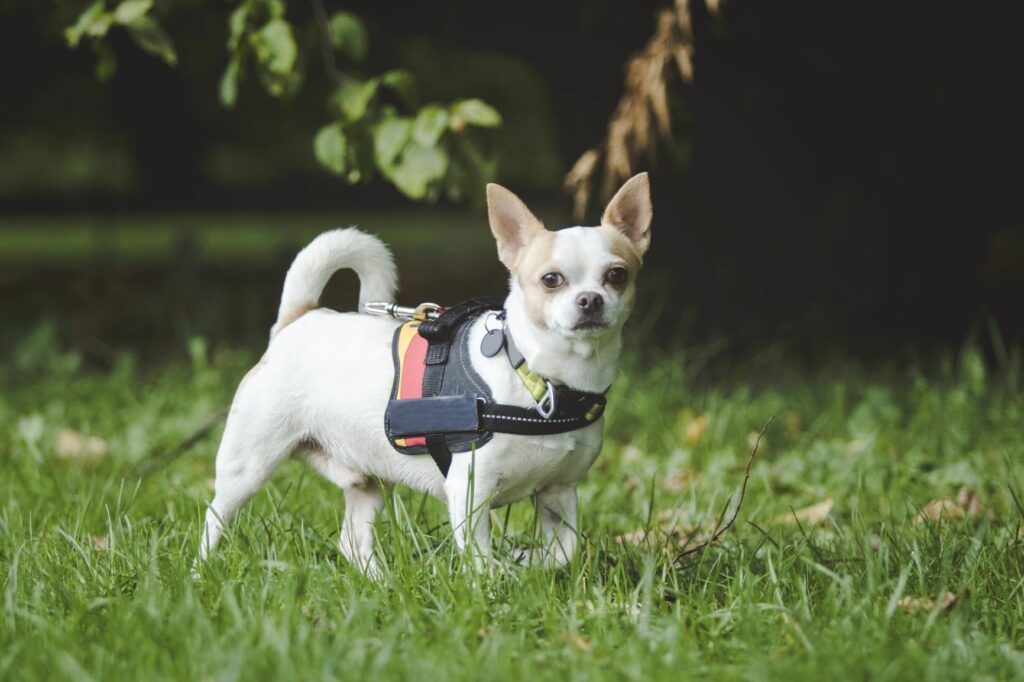 AdobeStock_177735784-1024×682