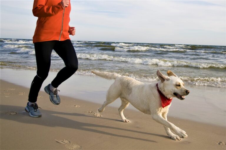 correre con il cane