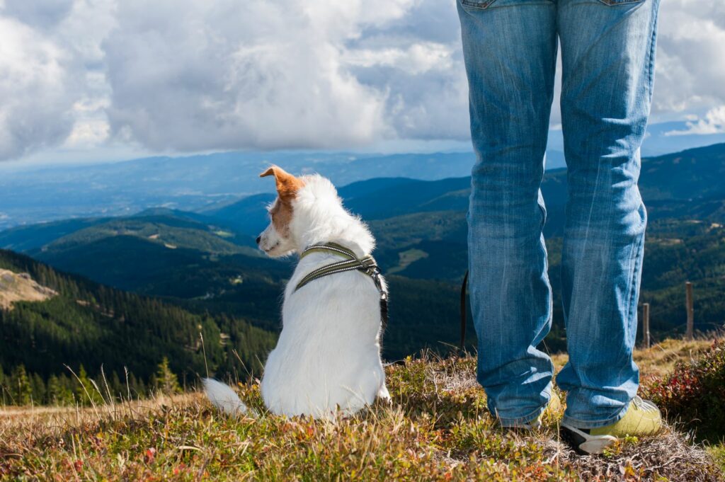 AdobeStock_68497820-1024×681