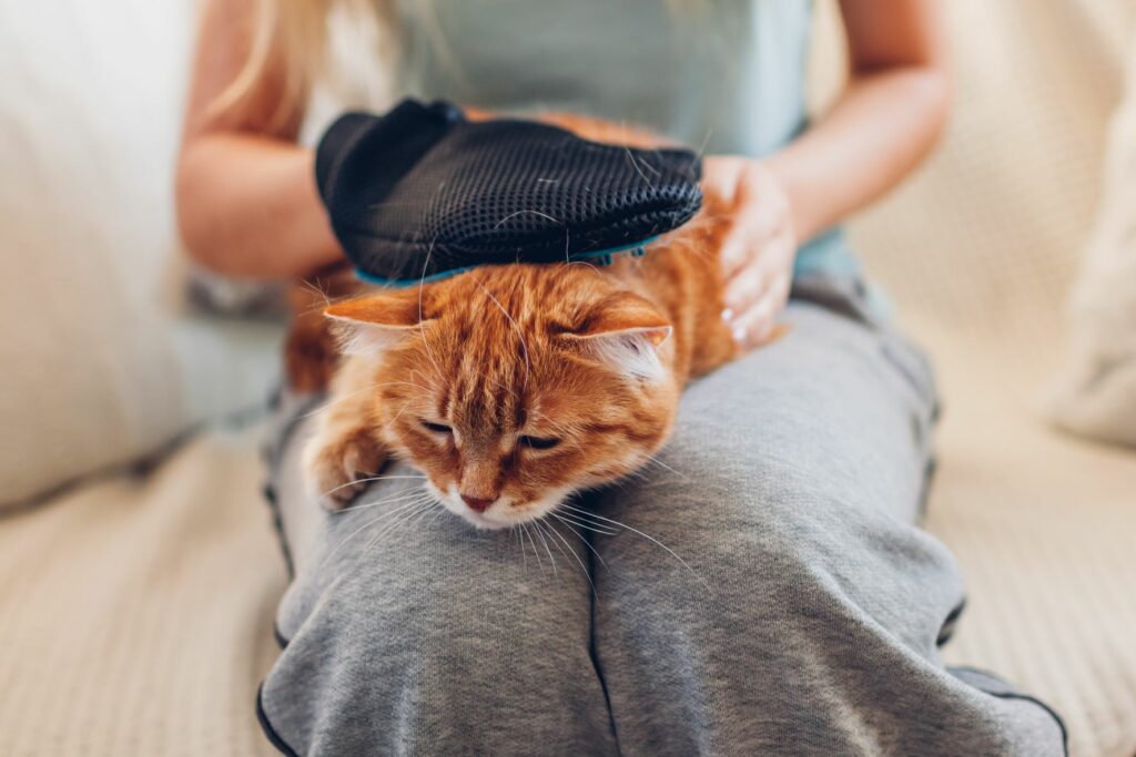 AdobeStock_332760965-1024×683