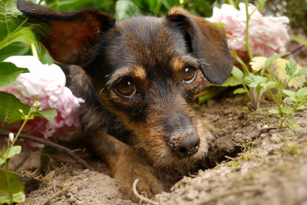 AdobeStock_162908333-1024×683