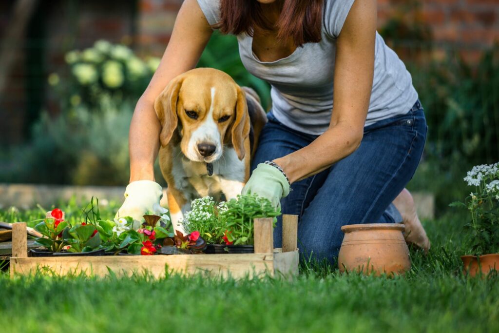 AdobeStock_209555450-1024×683