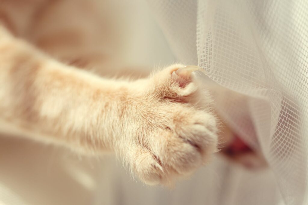 AdobeStock_223359023-1024×682