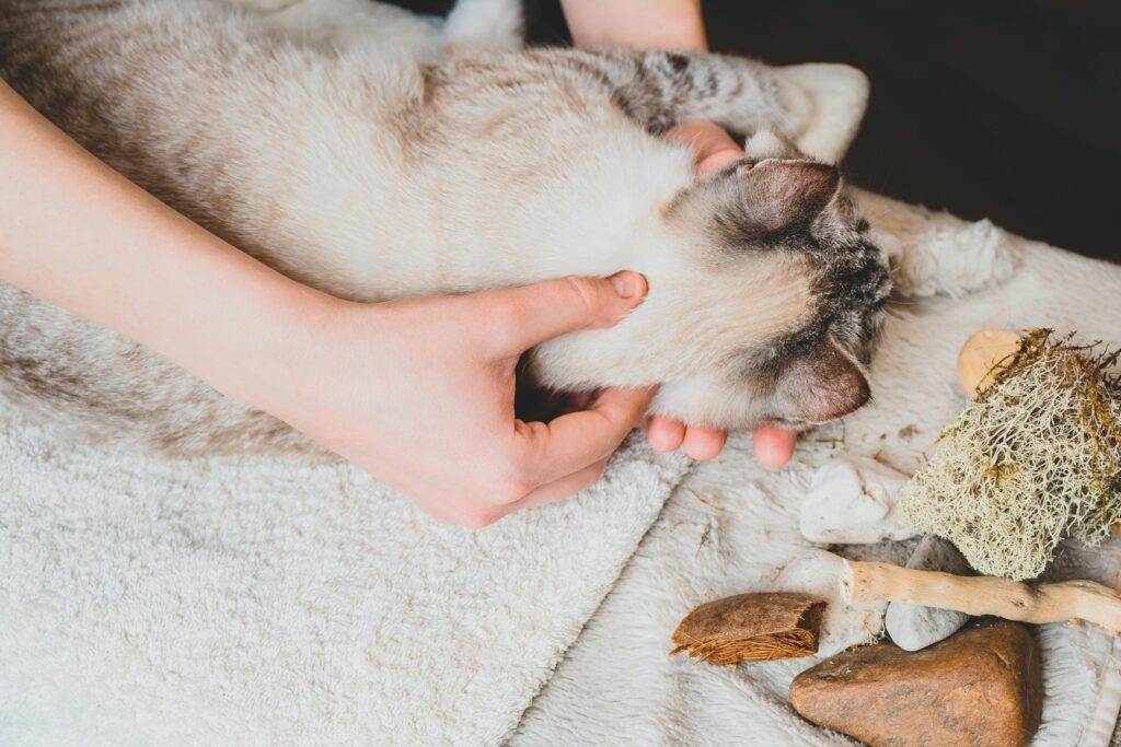 AdobeStock_347592573-1024×683